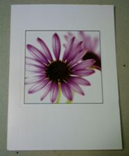 Card from my spoilee!